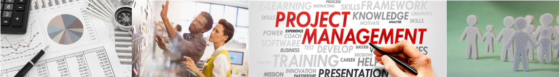 Project Management Services